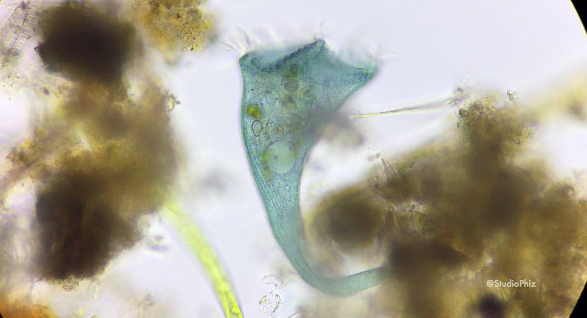 疲れる姿勢のソライロ